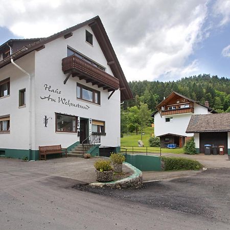 Am Wehrastrand Einzelappartment Todtmoos Dış mekan fotoğraf