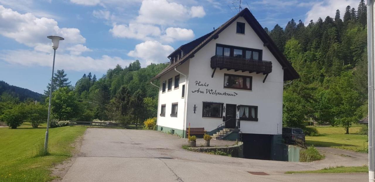 Am Wehrastrand Einzelappartment Todtmoos Dış mekan fotoğraf