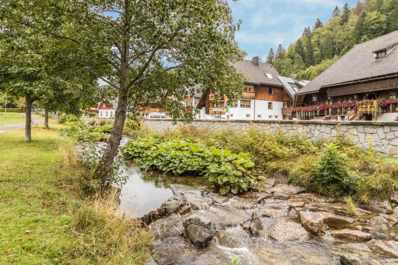 Am Wehrastrand Einzelappartment Todtmoos Dış mekan fotoğraf